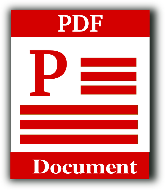 plik pdf