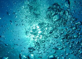 Ile powietrza w tylnym kole C 330? Ile powietrza w tylnym kole C 330?