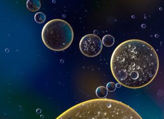 Na jakim oleju nie powinno się smażyć? Na jakim oleju nie powinno się smażyć?