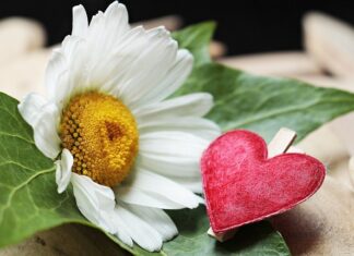 Czy można wymienić sam zacisk hamulcowy?