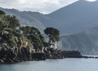 Ile kosztuje mini samochód?