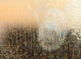 Co lepsze smar czy olej? Co lepsze smar czy olej?