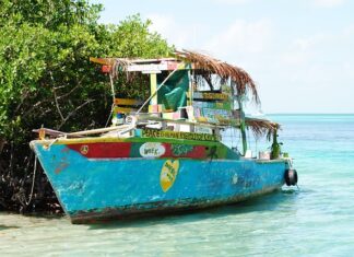 Jaki uszczelniacz do przyczepy?