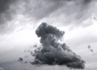 Ile za wymianę tarcz i klocków?