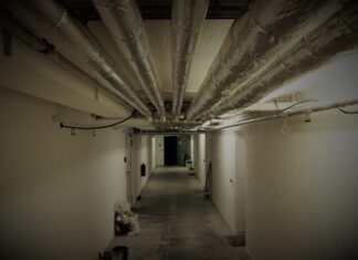 Ile oleju do przekładni glebogryzarki hortmasz?