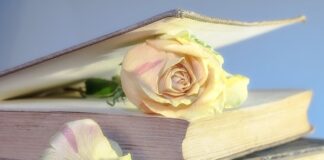 Ile kosztuje Używany Mini Cooper?