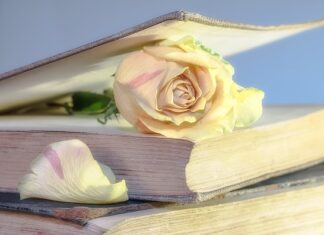 Ile kosztuje Używany Mini Cooper?