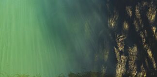 Jak sprawdzić poziom oleju w klimatyzacji?