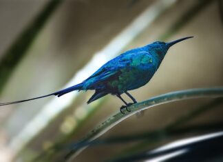 Na kogo powinna być wystawiona faktura za okulary korekcyjne?