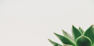 Jaka jest minimalna długość rur do klimatyzacji?