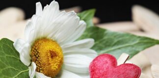 Czy zacisk hamulcowy powinien się ruszać?