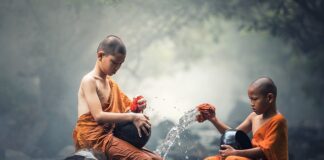 Co dodać do czyszczenia zmywarki?