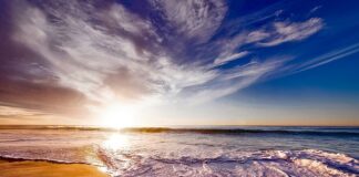 Co do picia bez kalorii?