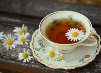 Jak często pić herbatę z morwy białej?