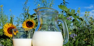 Jakie mleko roślinne jest najzdrowsze?