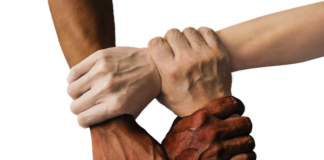 W czym trzymać tabletki do zmywarki?