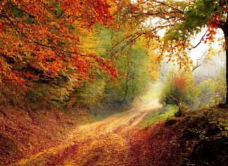 O jakiej porze dnia jeść musli? O jakiej porze dnia jeść musli?