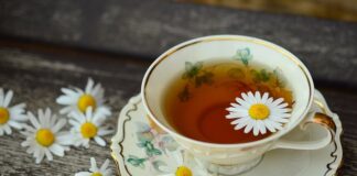 Kiedy pić herbatę z morwy białej?