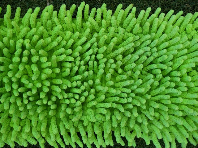 Jak korzystać z mopa? Jak korzystać z mopa?